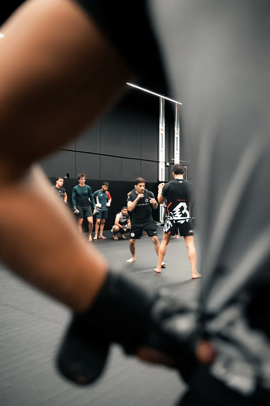 Entraînement de MMA sur les tatamis du centre